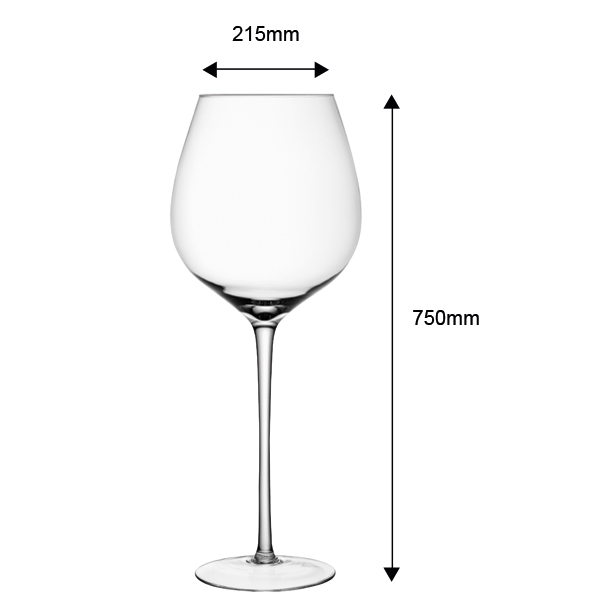 LSA Maxa Giant Wine Glass